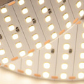  Светодиодные ленты 2835 480-600 led 24V ICLED
